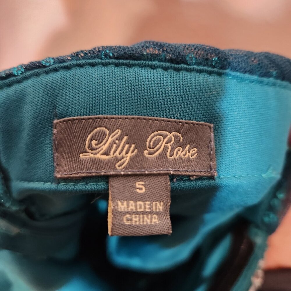 Y2K Vintage Lily Rose Green Tulle Short Semi Formal Size 5 - Picture 8 of 11